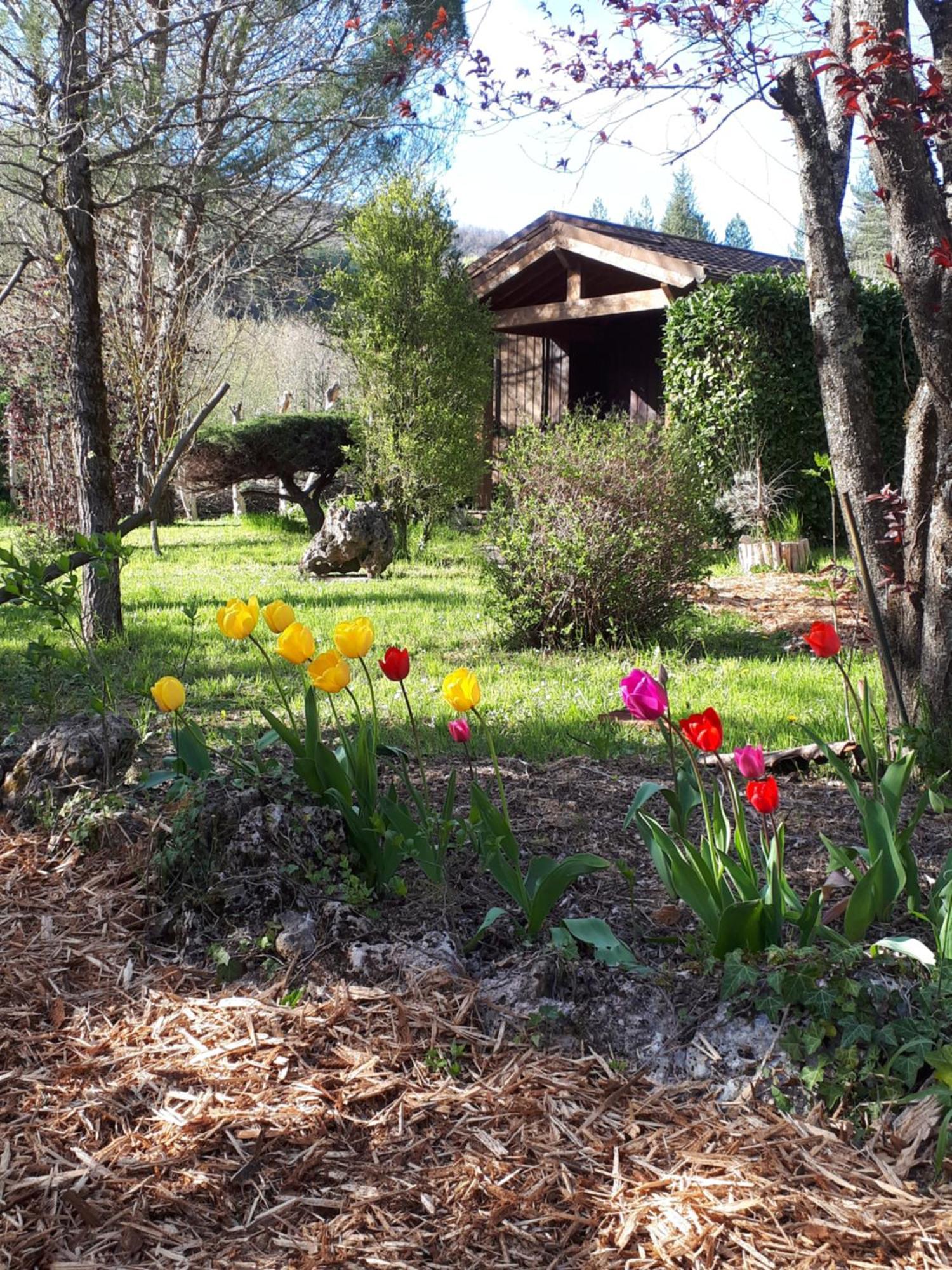 Les Chalets Du Roc Alzon Extérieur photo